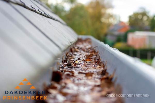 Verstopte dakgoot met bladeren schoonmaken in Prinsenbeek