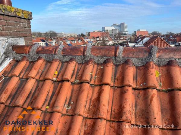 Pannendak met nokvorst en schoorsteen, dakrenovatie in Prinsenbeek