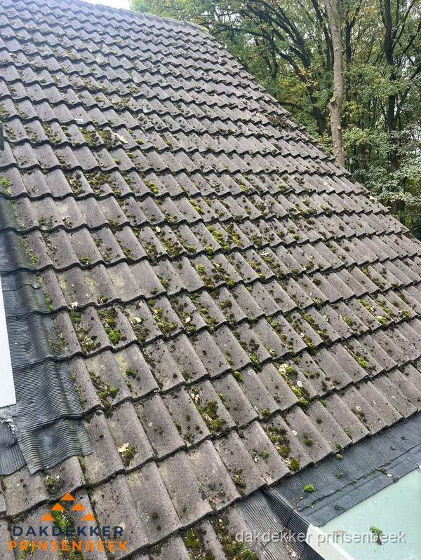 Verweerd pannendak met mosgroei dat renovatie nodig heeft in Prinsenbeek