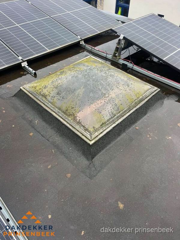 Vervuilde lichtkoepel op plat dak met zonnepanelen in Prinsenbeek