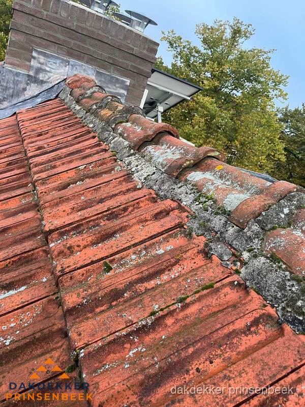 Verweerd hellend dak met mosgroei op nokvorst in Prinsenbeek