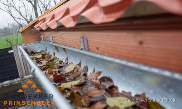 Dakgoot vol bladeren die gereinigd moet worden in Prinsenbeek
