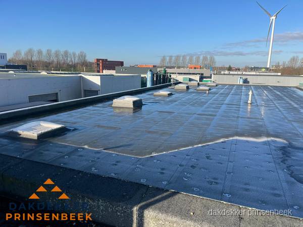 Plat dak bedrijfspand met bitumen dakbedekking en lichtkoepels in Prinsenbeek